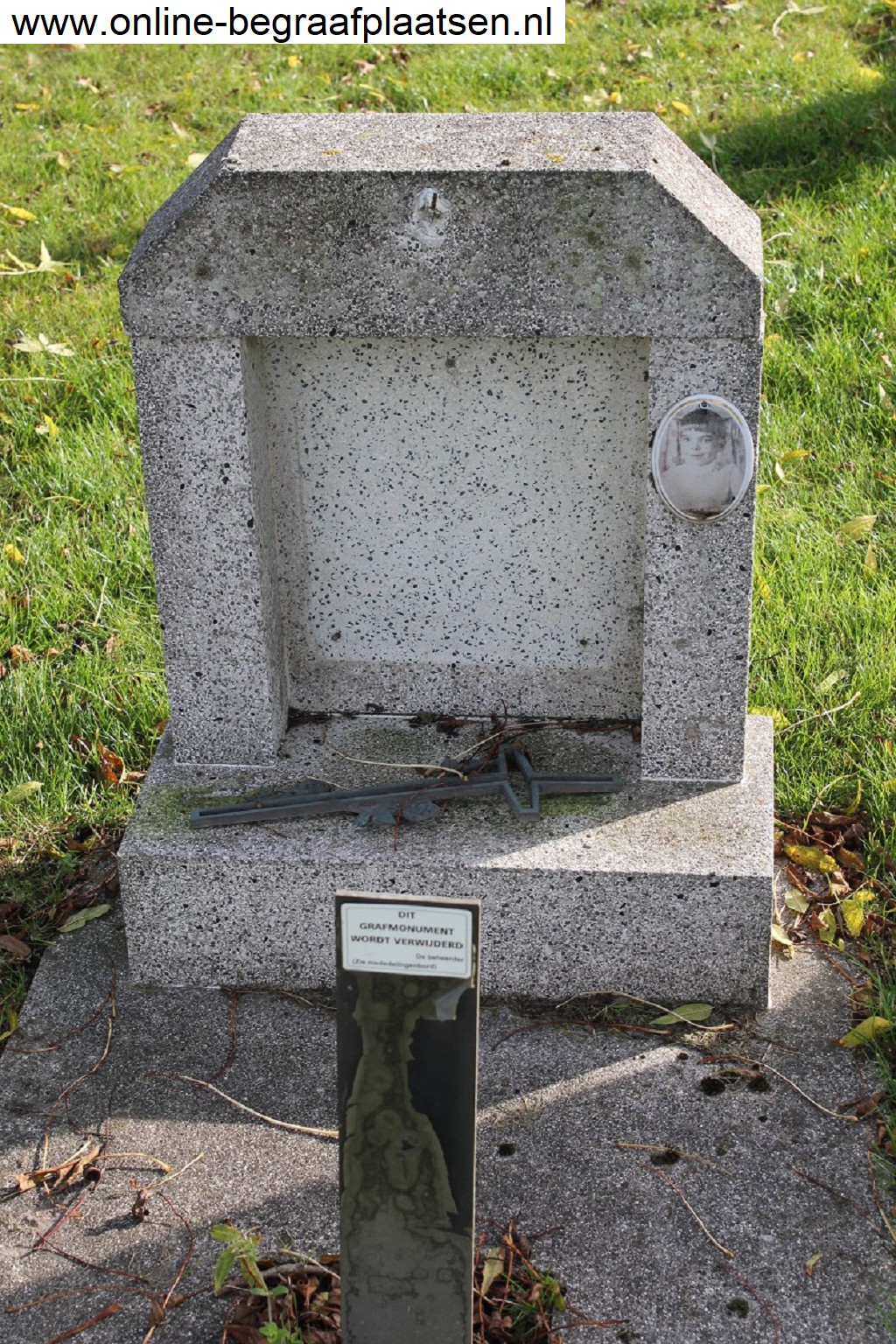 Klik voor foto in apart venster quma0003603001.jpg