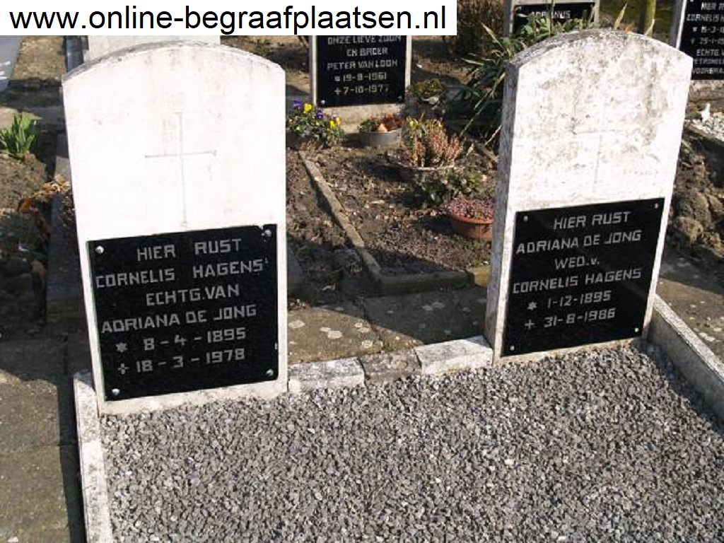 Klik voor foto in apart venster quma0004401006.jpg