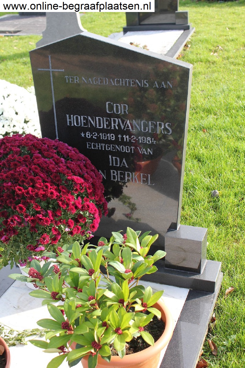 Klik voor foto in apart venster quma0007203001.jpg