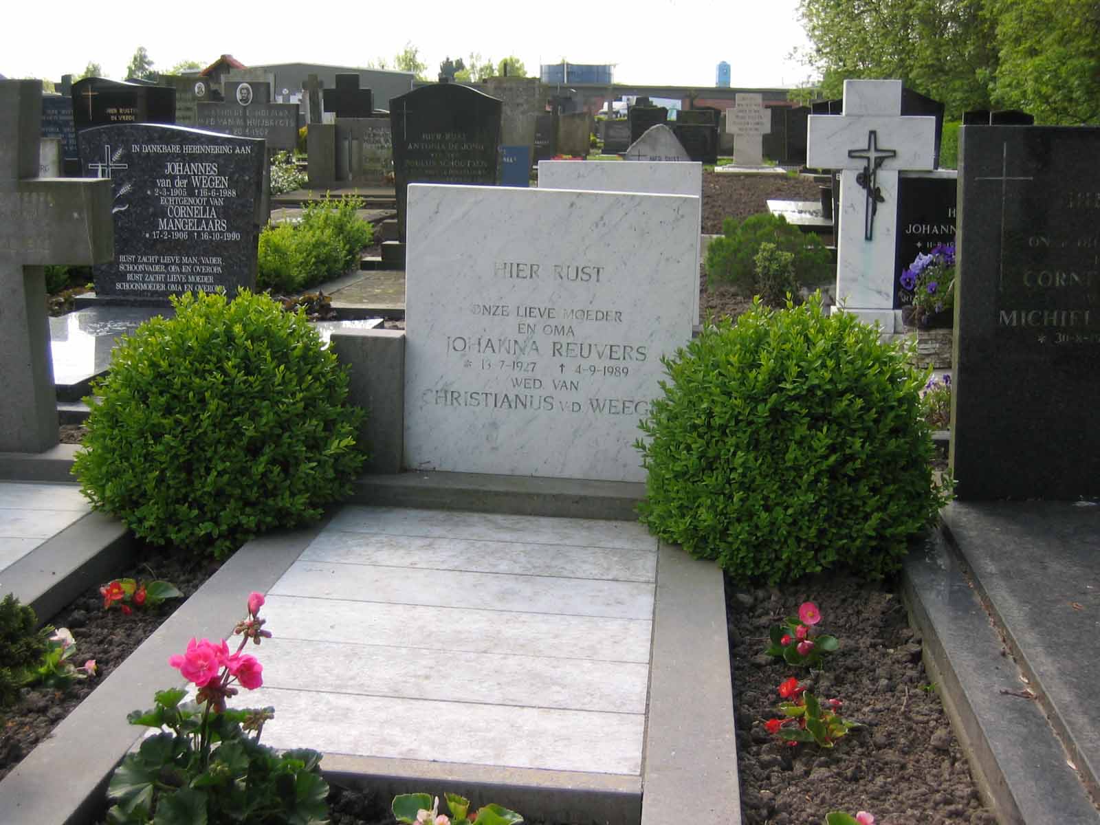Klik voor foto in apart venster quma0016004001.jpg