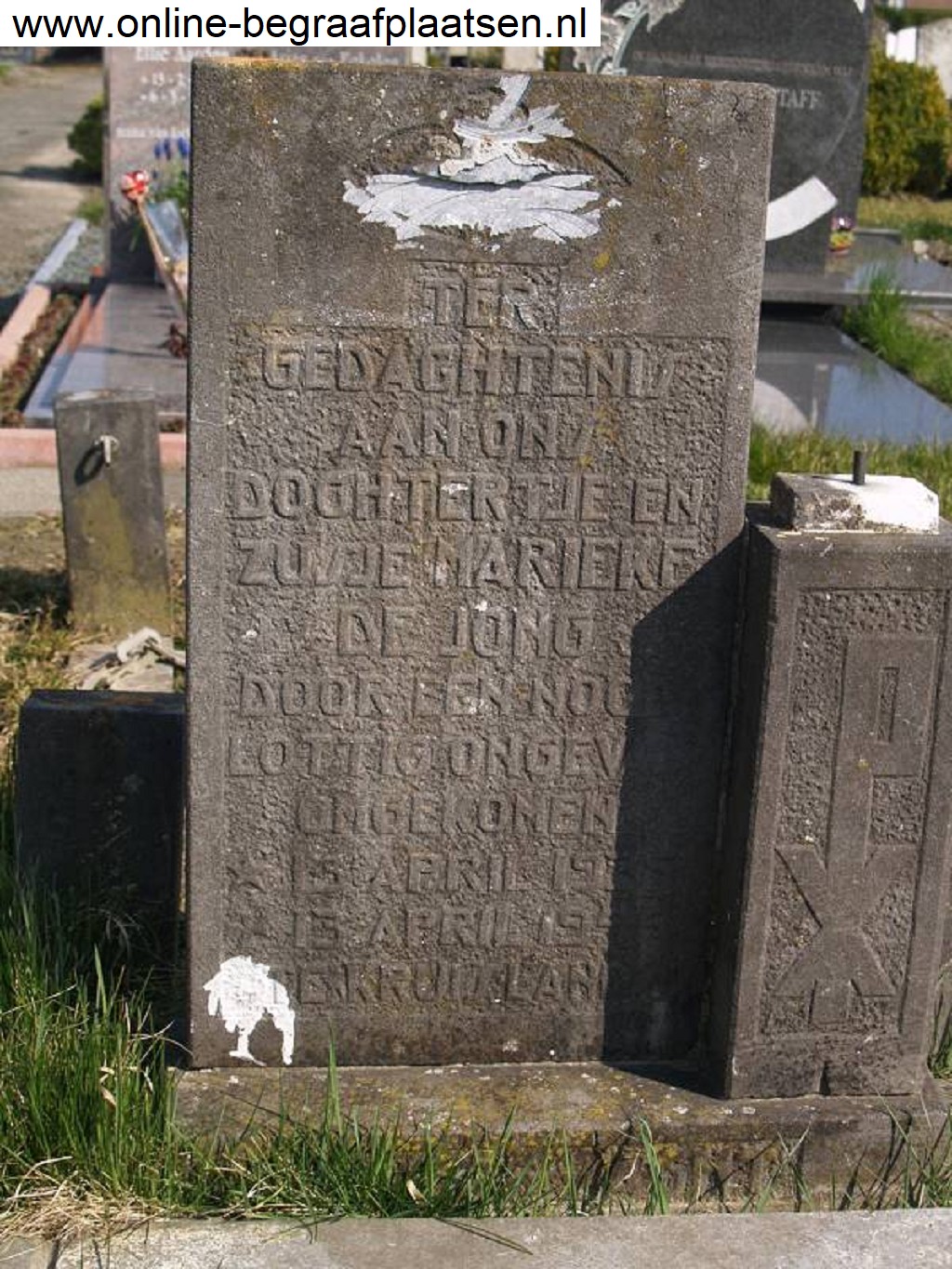 Klik voor foto in apart venster quma0035205001.jpg
