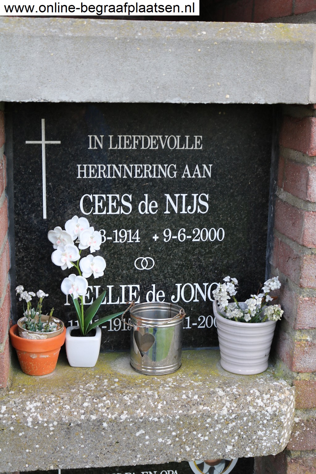 Klik voor foto in apart venster quma0038604001.jpg