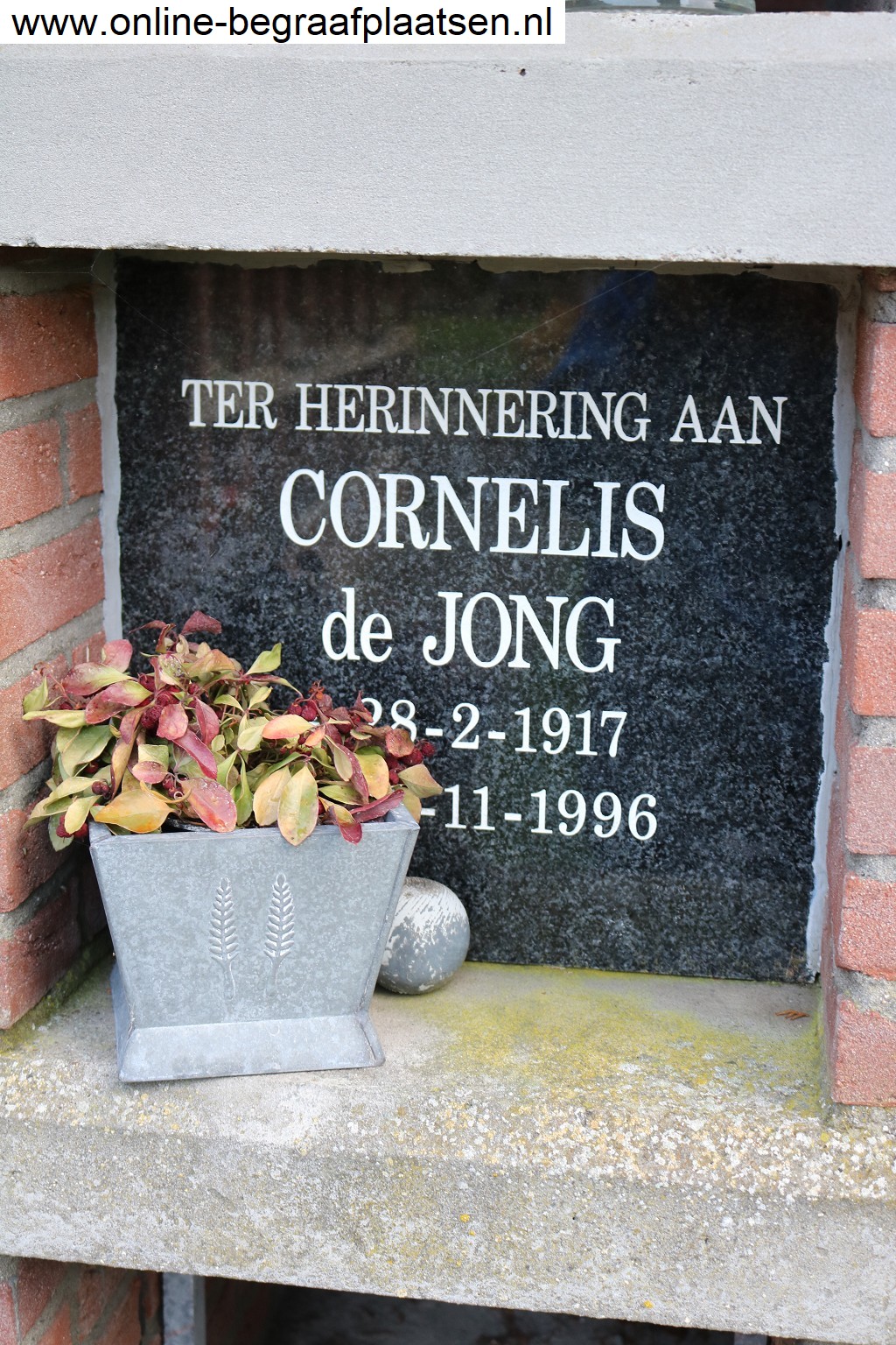 Klik voor foto in apart venster quma0070406001.jpg